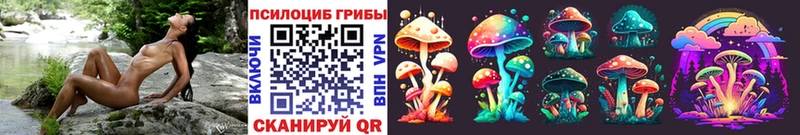 Псилоцибиновые грибы Psilocybine cubensis  где можно купить   Камень-на-Оби 