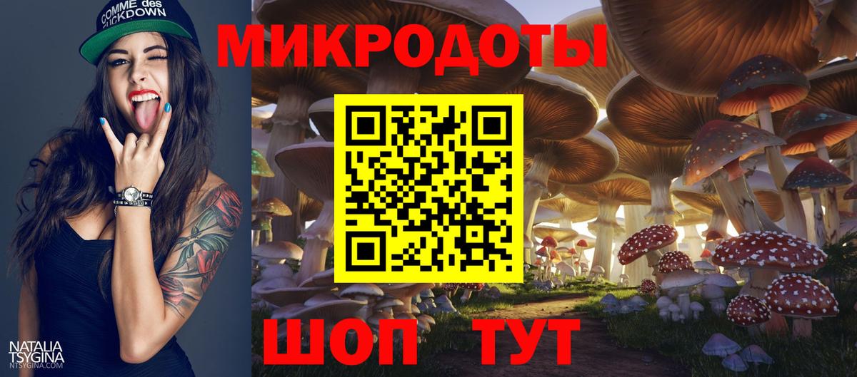 что такое   Галлюциногенные грибы мицелий  Вход с VPN  Камень-на-Оби 