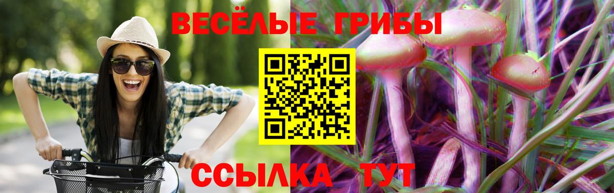 Галлюциногенные грибы мухоморы Камень-на-Оби