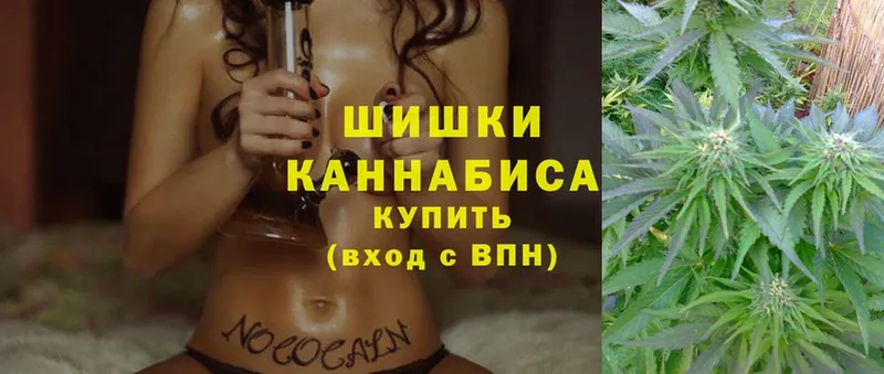 где можно купить   Камень-на-Оби  Канабис SATIVA & INDICA 